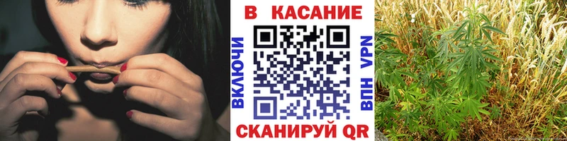 Купить закладку A PVP  Метадон  Меф мяу мяу  Гашиш  Кокаин  Каннабис  Ступино