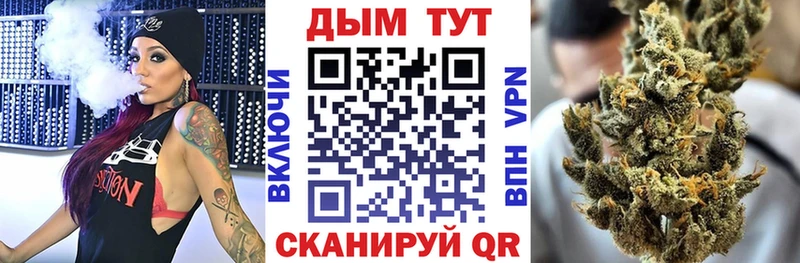 Купить закладки  Ступино  Каннабис SATIVA & INDICA 